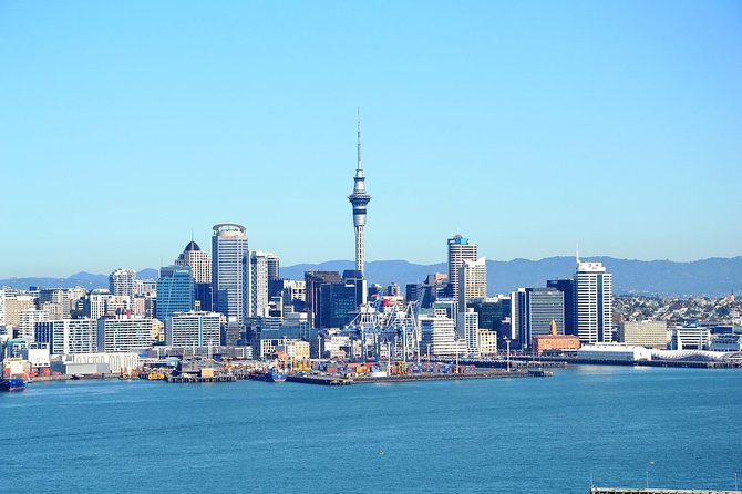 Auckland City & Native Forest Experience - Fully Guided Day Tour - The value: a full Auckland day that actually covers the map