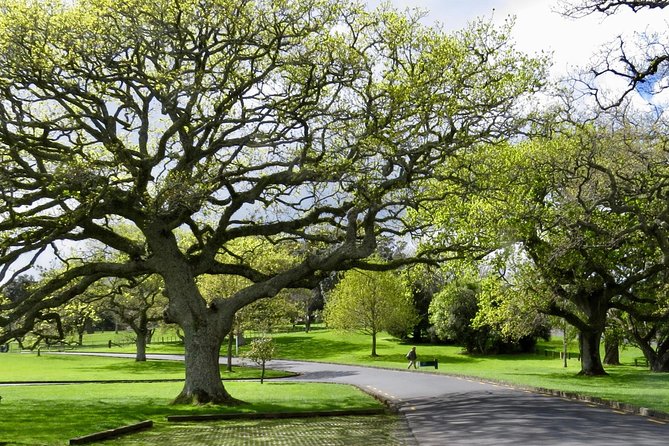 Auckland City Private Tour for Couples. Be chauffeur driven with added extras. - Parnell rose gardens and Auckland village pace