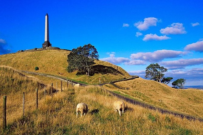 Auckland City Private Tour for Couples. Be chauffeur driven with added extras. - Maungawhau and Mount Eden: quick summit energy without over-planning