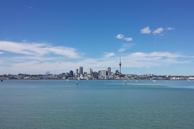 Auckland City Small-Group Morning Discovery Tour - How to get the best morning out of the limited stops