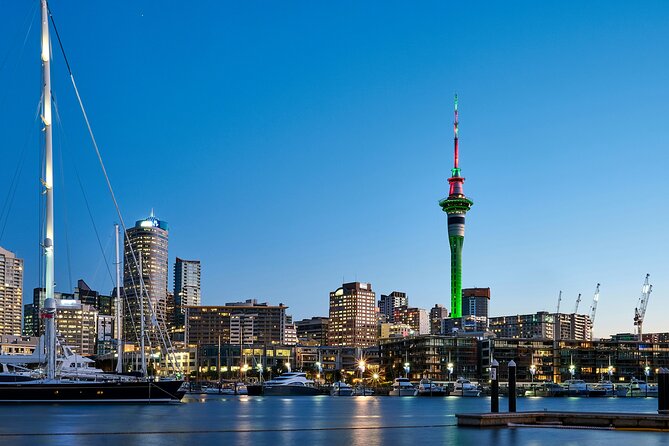 Auckland City Top Sights Half Day Tour - Small Group - Why this Auckland City loop feels easy and satisfying