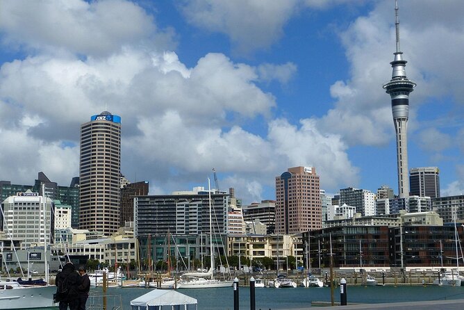 Auckland City Top Sights Half Day Tour - Small Group - Mount Eden (Maungawhau): the panoramic payoff for your time