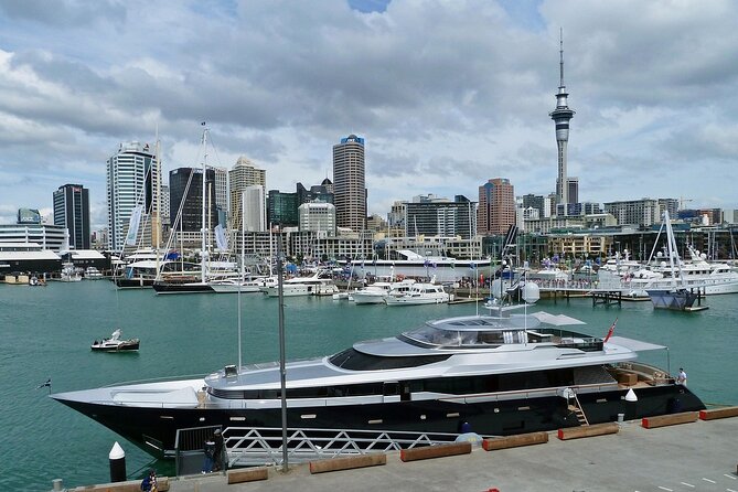 Auckland City Top Sights Half Day Tour - Small Group - Winter Garden Auckland Domain: a cool, historic pause