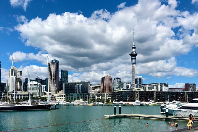 Auckland City Top Sights Half Day Tour - Small Group - Price and what you are really paying for (about $99)