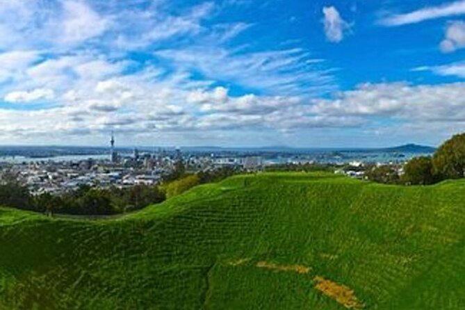 Auckland City Volcano & Scenic Highlights Tour - Price and What You Actually Get for About $130.32