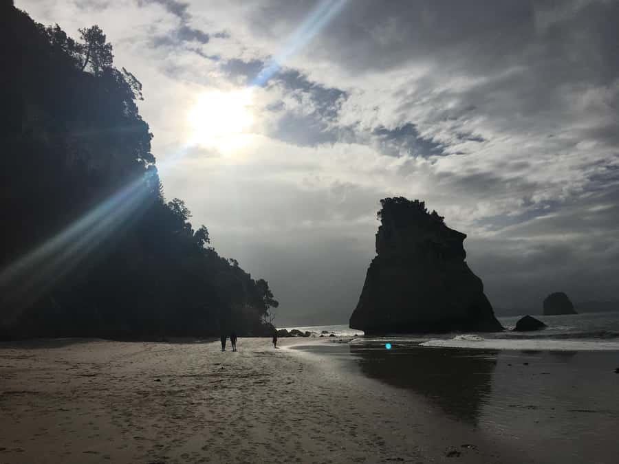 Auckland: Coromandel Day Tour including Hot Water Beach - Driving Creek Railway and Eyefull Tower: the best part to do early