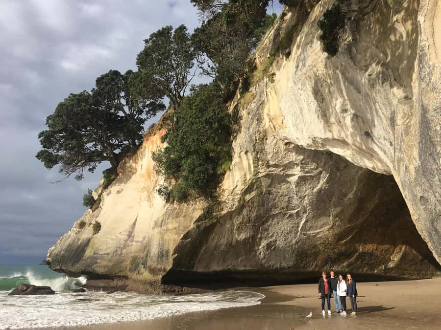Auckland: Coromandel Day Tour including Hot Water Beach - Pickup, van comfort, and why the start in Auckland matters