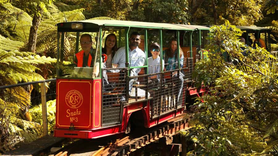Auckland: Coromandel Driving Creek & Cathedral Cove Day Tour - Key highlights you will actually feel during the day