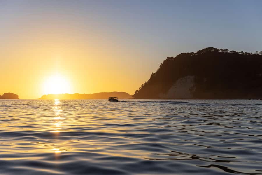 Auckland: Coromandel Driving Creek & Cathedral Cove Day Tour - Whitianga break time and Lost Spring pools: plan your relaxation window