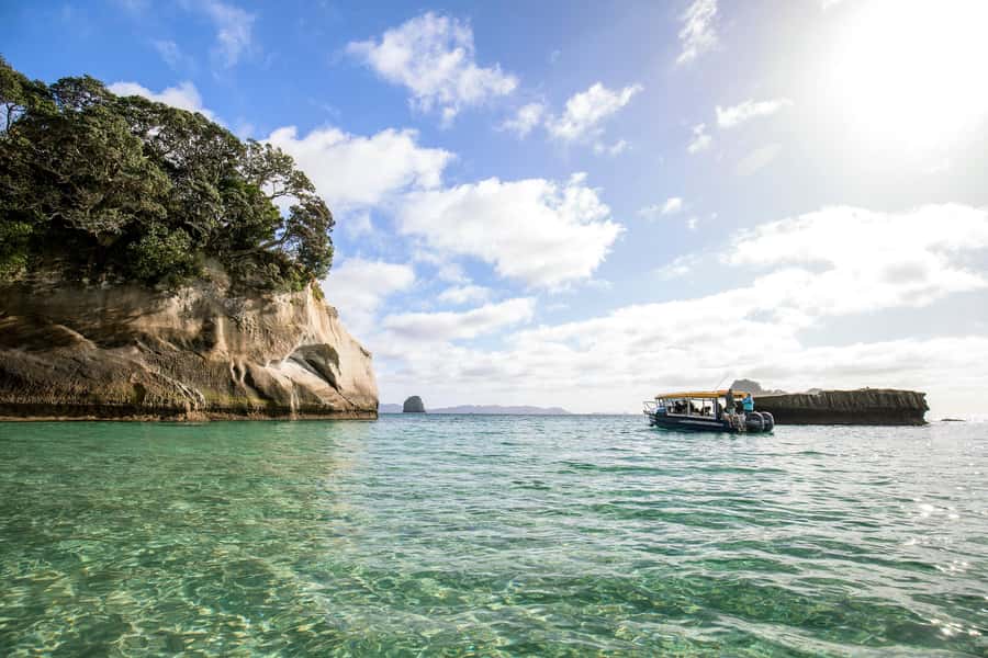 Auckland: Coromandel Driving Creek & Cathedral Cove Day Tour - Hahei to Cathedral Cove: the 45-minute walk that earns its reputation