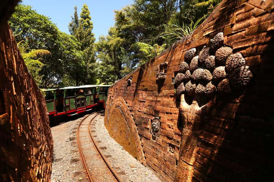 Auckland: Coromandel Driving Creek & Cathedral Cove Day Tour - Price and value: why $298 can feel fair