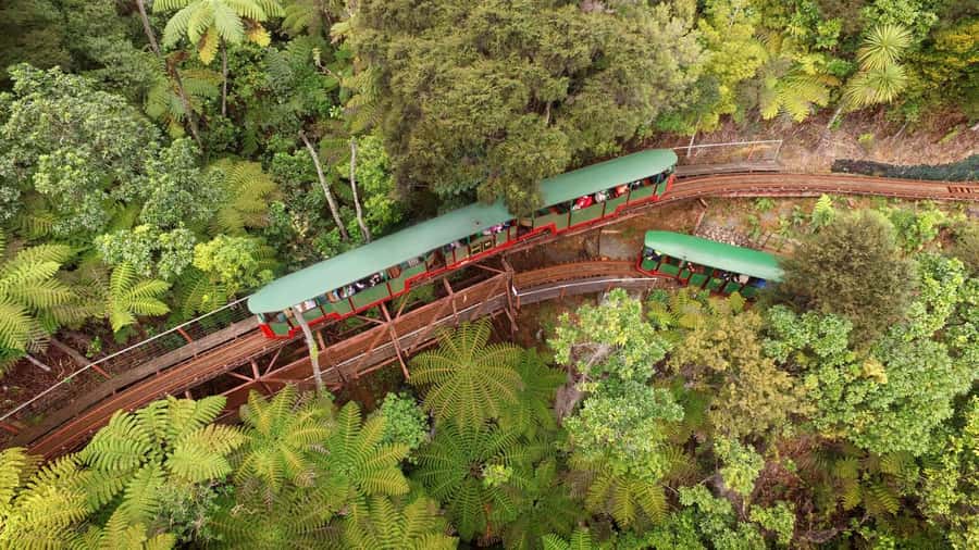 Auckland: Coromandel Driving Creek & Cathedral Cove Day Tour - The coastal drive via Thames: where the best photos are earned