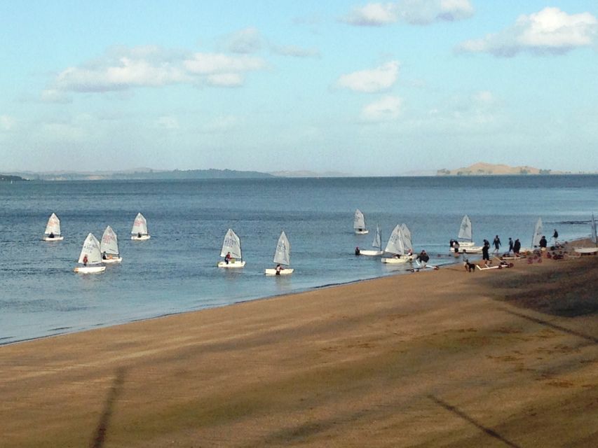 Auckland: Devonport Waterfront Segway - Price and Value: Why $41 for 45 Minutes Can Work