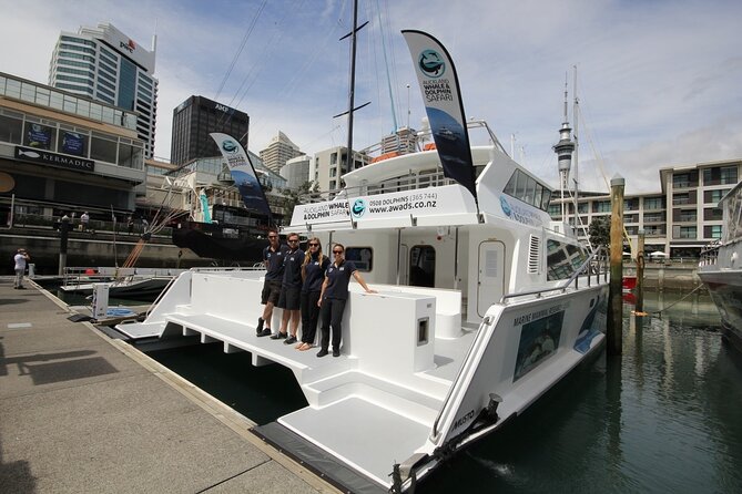 Auckland Dolphin and Whale Watching Eco-Safari Cruise - Meet at Viaduct Harbour, then head straight into Hauraki Gulf
