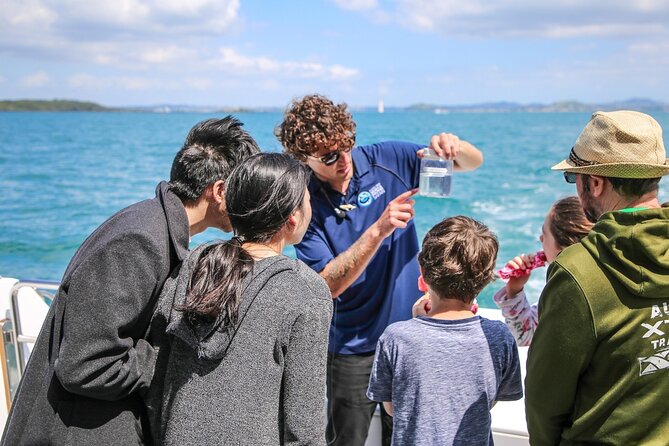 Auckland Dolphin and Whale Watching Eco-Safari Cruise - Deck and photo tips: where to stand when dolphins get curious