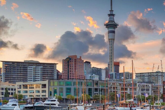 Auckland Downtown Hotel Transfers to/from Cruise Ship in Minivan - Small Practical Tips to Make This Even Smoother