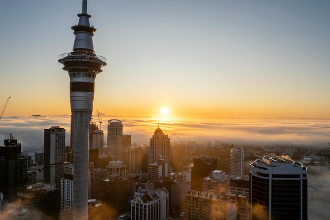 Auckland Full Day Attractions & Museums Tour - Price and value of the Auckland highlights day