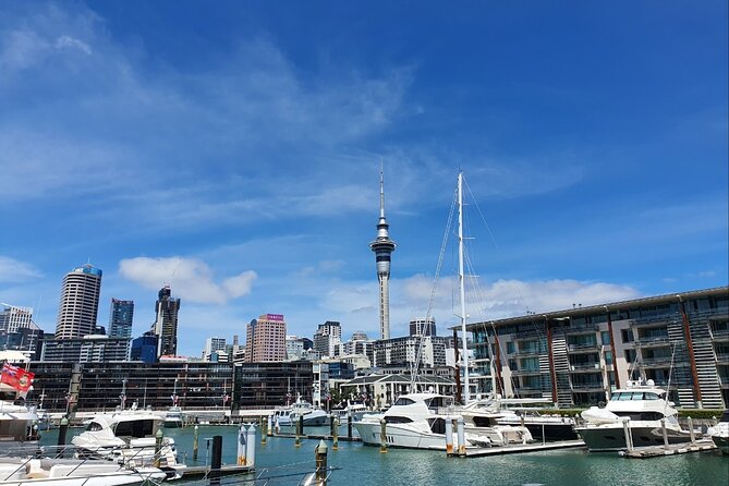 Auckland Full Day Attractions & Museums Tour - Auckland Museum: history and memory done in a way you can feel
