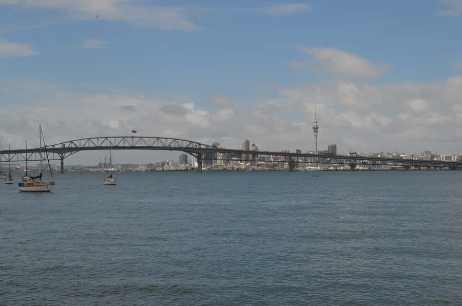 Auckland: Full-Day City Highlights Tour - Starting in Auckland CBD, Then Switching to Viewpoints Mode