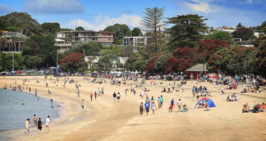 Auckland: Full-Day City Tour - Auckland CBD Pickup, Then Straight to Mt Eden’s Skyline Views