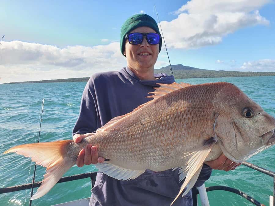 Auckland: Full-Day Fishing Charter (7 am - 4 pm) - Gear, bait, and the BYO checklist you should not ignore