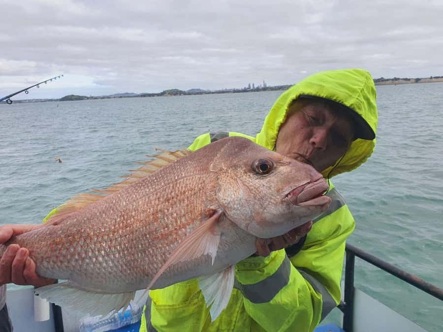 Auckland: Full-Day Fishing Charter (7 am - 4 pm) - Coastal views you get for free, while you’re working for fish