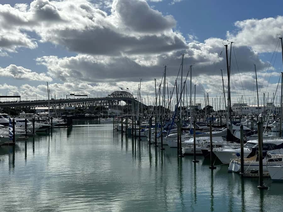 Auckland: GoGuided Auckland City Tour - Victoria Park and Karangahape Road: color, culture, and good orientation