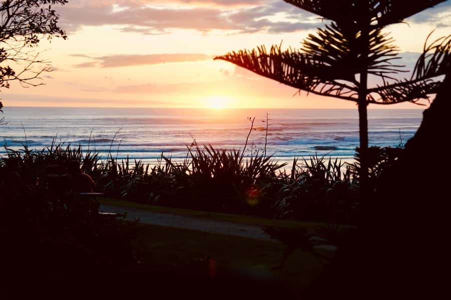 Auckland: Group Surfing Lesson with Muriwai Surf School - Surf safety and wave checking, before you paddle out