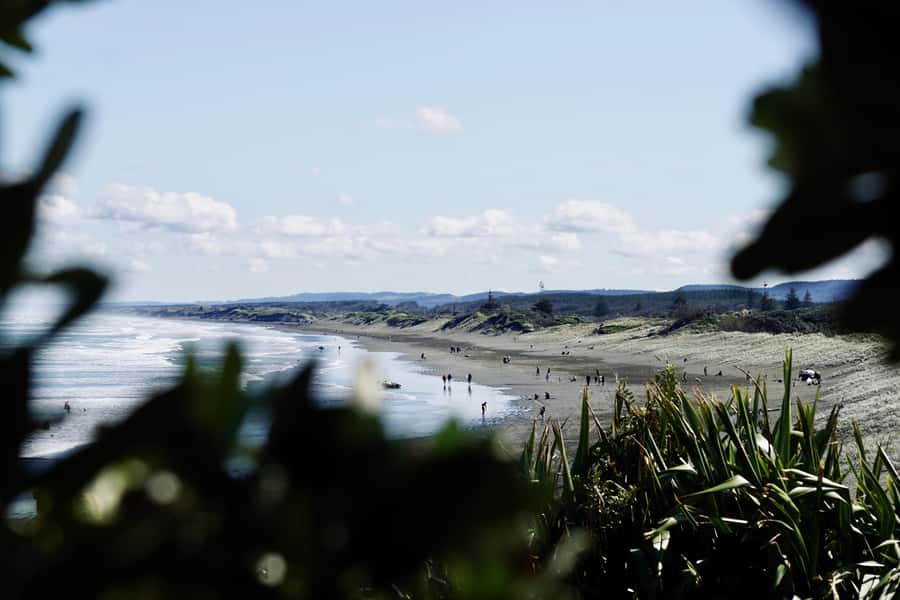 Auckland: Group Surfing Lesson with Muriwai Surf School - Who should book this Muriwai surf lesson
