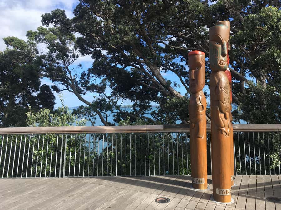 Auckland: Half-Day Auckland Volcanoes Tour - Key Points Worth Knowing Before You Go