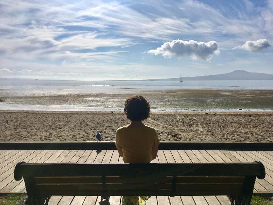 Auckland: Half-Day Auckland Volcanoes Tour - The 8:00 Pickup, Then Straight Into the Suburbs