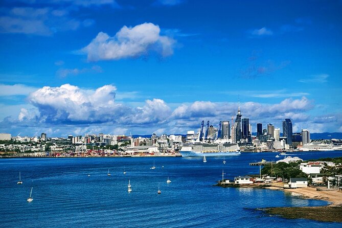 Auckland Half Day City Tour - Heart of Auckland - Key highlights worth planning for