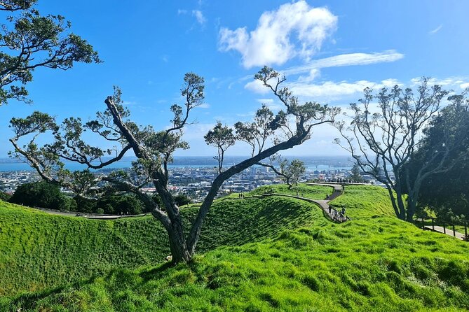 Auckland Half Day City Tour - Heart of Auckland - Holy Trinity Cathedral: Pacific-Gothic beauty in 30 minutes