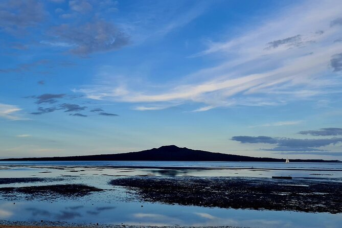 Auckland Half Day City Tour - Heart of Auckland - Timing that works: 3 hours 40 minutes, morning or afternoon