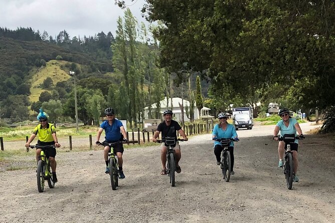 Auckland Half Day E-Bike Excursion - Te Atatu Peninsula views, smooth paths, and that coffee break