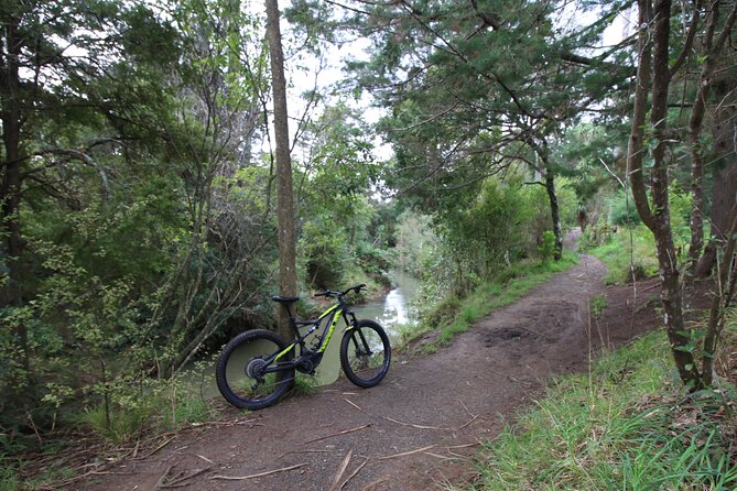 Auckland Half Day E-Bike Excursion - Value check: $93.09, a half-day time window, and why timing matters