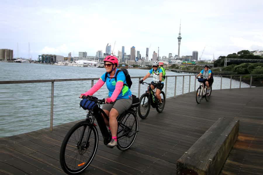 Auckland Half-Day Ebike Tour Excursion - Key Things That Make This Auckland E-Bike Tour a Solid Half-Day