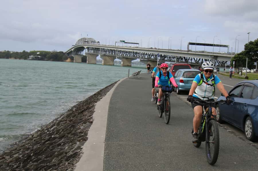 Auckland Half-Day Ebike Tour Excursion - Who Should Book This Auckland E-Bike Tour (and Who Might Not)