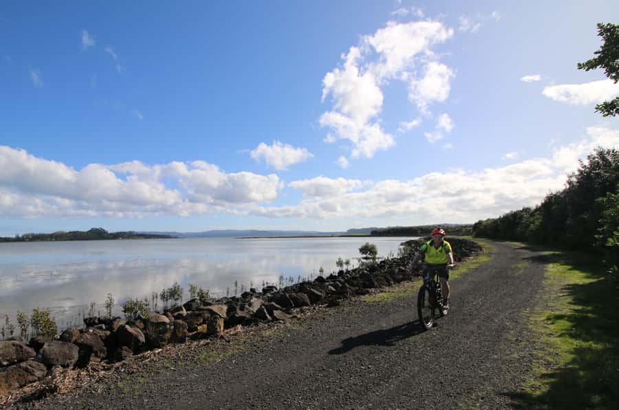 Auckland Half-Day Ebike Tour Excursion - Meola Reserve and Te Atatu Peninsula: Views That Come From the Ridgeline Feel