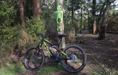 Auckland Half-Day Ebike Tour Excursion