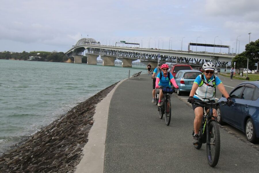 Auckland Half-Day Ebike Tour Excursion - It All Comes Together in About 3 to 3.5 Hours, Including Tea