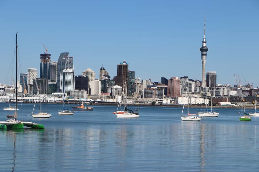 Auckland: Half-Day Scenic Sightseeing Tour - Harbour Bridge to the North Shore: Devonport Views That Feel Old-School