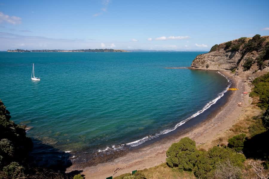 Auckland: Half-Day Sea Kayak Tour to Motukorea Island - Quick highlights