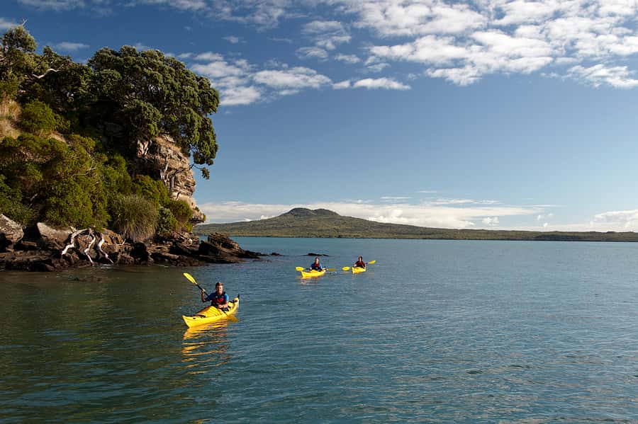 Auckland: Half-Day Sea Kayak Tour to Motukorea Island - A sea-kayak-only route to Motukorea Island