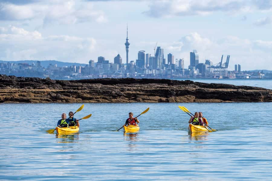 Auckland: Half-Day Sea Kayak Tour to Motukorea Island - Sea-kayak basics, safety briefing, and friendly coaching