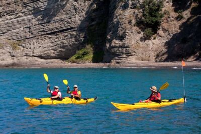 Half-Day Sea Kayak Tour to Motukorea Island