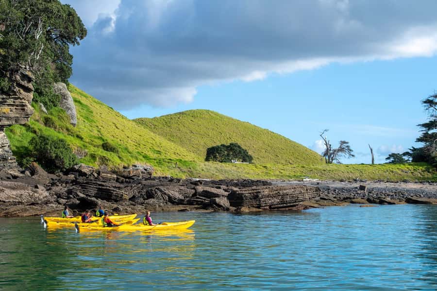 Auckland: Half-Day Sea Kayak Tour to Motukorea Island - Paddling on the Hauraki Gulf with Auckland in view