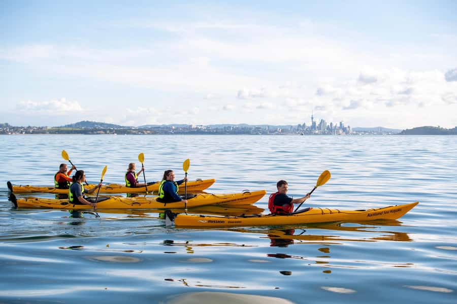 Auckland: Half-Day Sea Kayak Tour to Motukorea Island - Price and value: what $116 buys you