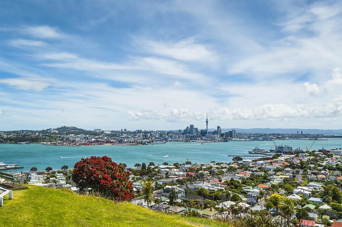 Auckland Harbour Cruise - Live commentary: clear narration, but plan for audio limits