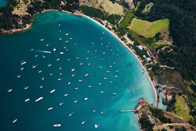 Auckland Harbour Sailboat Cruise Including Three Course Dinner - Who should book this Auckland harbour sailboat dinner cruise